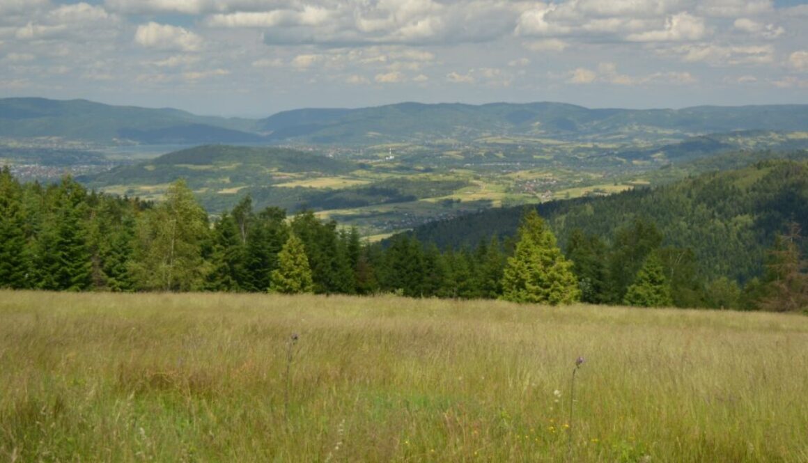 Panorama wschodnich obrzeży Kotliny Żywieckiej. Po środku grzbiety Beskidu Makowskiego, a tle widoczne są grzbiety Beskidu Małego.