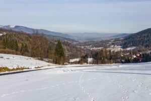 Widok z Przełęczy Kotelnica (665 m n.p.m.) w kierunku Kotliny Żywieckiej.