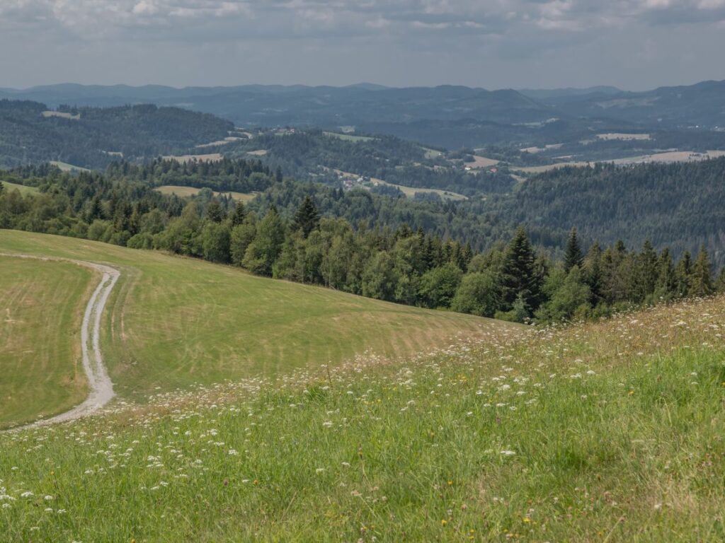 Widok na lesiste góry i doliny w górach Słowacji Republiki Czeskiej podziwiany ze szczytu Kikula Trojak nad Zwardoniem i Skalitem. NA zdjęciu widoczne także pola i łąki oraz droga.