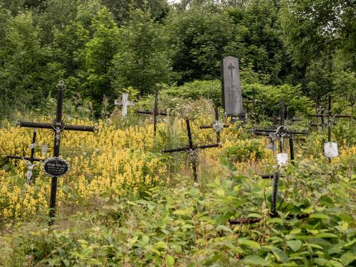 Stary cmentarz w Zwardoniu przy granicy pod Pydychów Groniem. Na zdjęciu widoczne stare krzyże cmentarne oraz nagrobki na zarastającym dawnym cemntarzu w Beskidach.