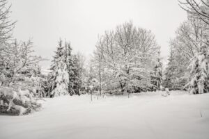 Zima na zarastających ''kawołkach'' nad Węglarzami w Zwardoniu.