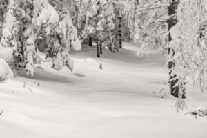 Dziewiczy zasypany śniegiem beskidzki las. Przecieranie szlaku i wędrówka sam na sam z gładkim śniegiem - bezcenne.