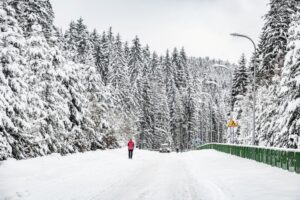 Droga wzdłuż rzeki Olzy w Istebnej Zaolziu. Idealne miejsce na zimowy spacer, a nawet treningi narciarstwa biegowego.