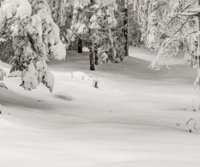 Dziewiczy zasypany śniegiem beskidzki las. Przecieranie szlaku i wędrówka sam na sam z gładkim śniegiem - bezcenne.